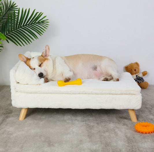 Small Dog Bed/ Sofa